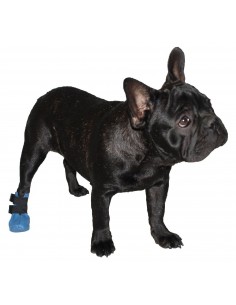 רצועת בטיחות לכלב לרכב דגם BEBOBI - ALPIN