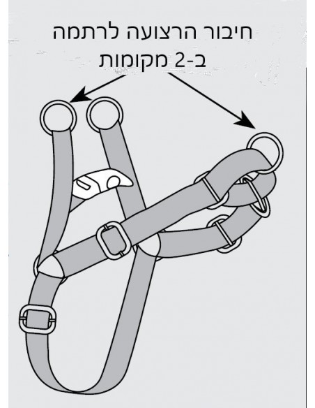 רתמת איזי ווק EASY WALK