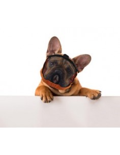 מחסום רשת לכלב עם אף פחוס 2