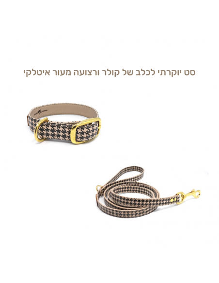 סט יוקרתי לכלב בינוני קטן - קולר ורצועה יוקרתיים לכלב מעור Smart Animal - Chalenkaו